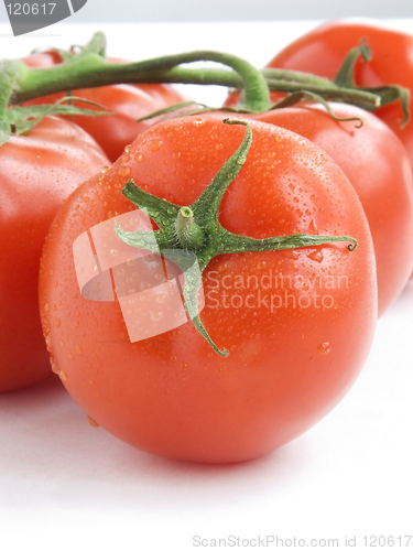 Image of Fresh tomatoes IV