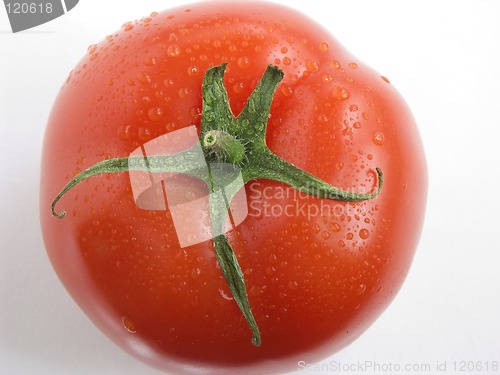 Image of Tomato portrait III