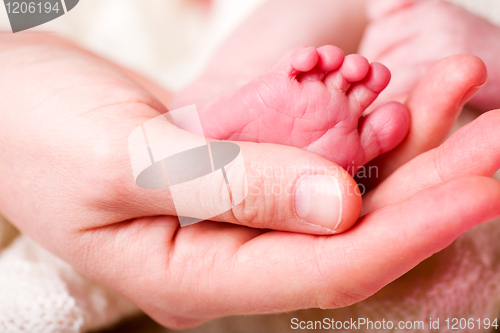 Image of Newborn Baby Foot