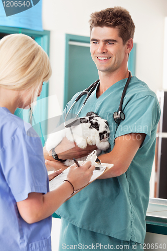 Image of A rabbit at the vet having a check-up
