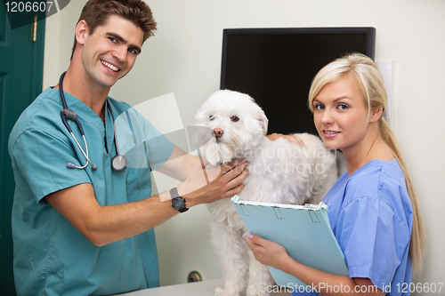 Image of Vet with assistant examining dog