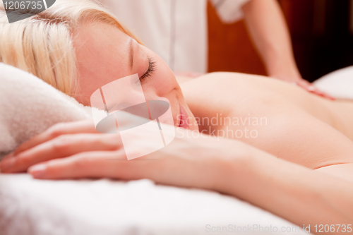 Image of Spa Back Massage