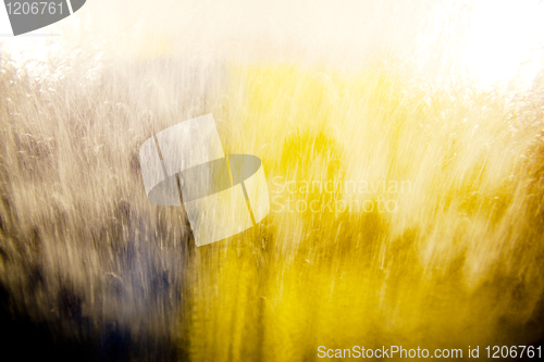 Image of Car Wash Window Abstract