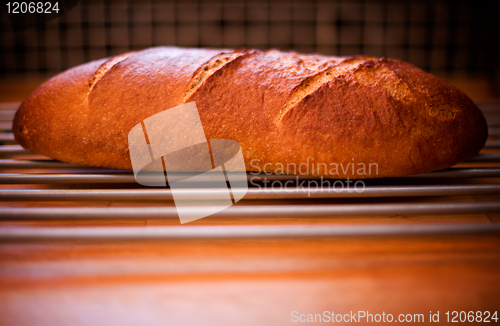 Image of Loaf of Rustic Bread
