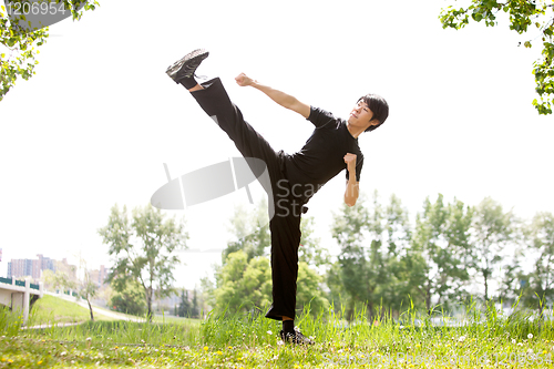 Image of Martial artist with his high kick