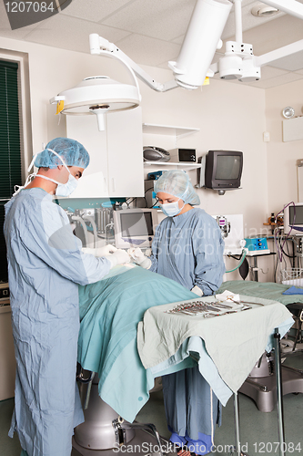 Image of Two surgeons performing operation