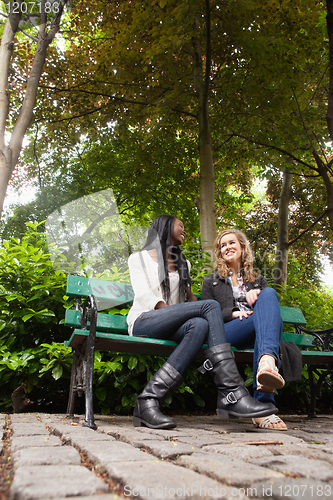 Image of Relaxed female friends chatting in the park