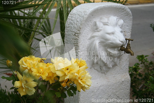 Image of Lion with water-tap