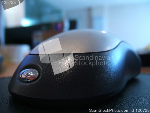 Image of Mouse