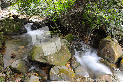 Image of Mountain stream