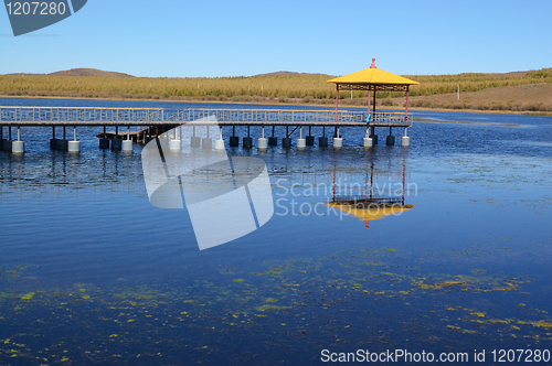 Image of Lake in the grassland