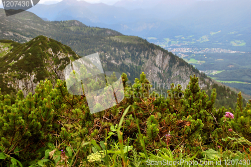 Image of Alps in Summer