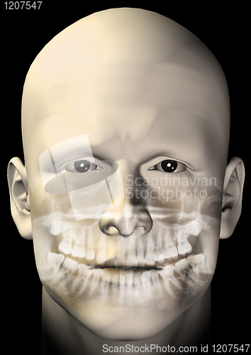 Image of male figure dental scan