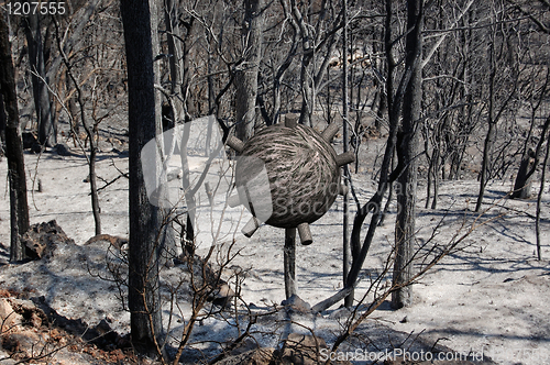 Image of sphere in burned forest