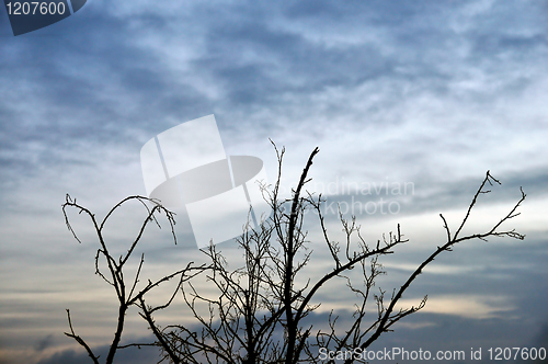 Image of sunset cloudscape