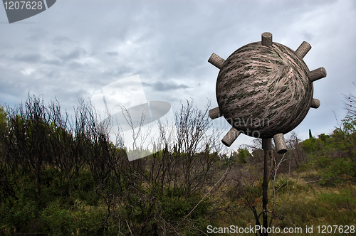 Image of forest sphere