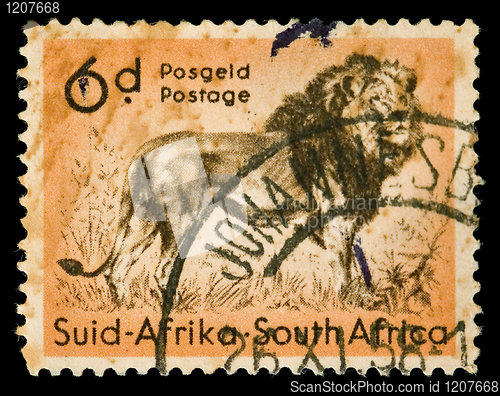 Image of african lion stamp