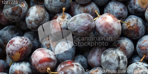 Image of Prunes