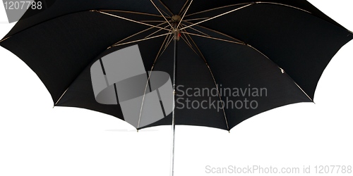 Image of Umbrella