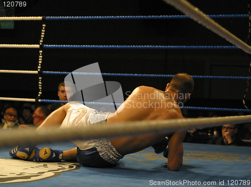 Image of boxer down