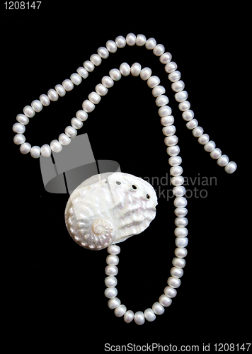 Image of White pearls and nacreous cockleshell on the black velvet 