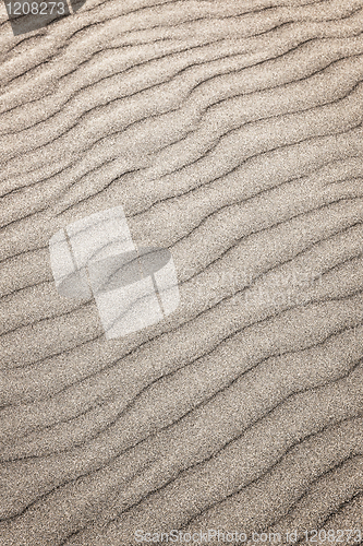 Image of Sand ripples background