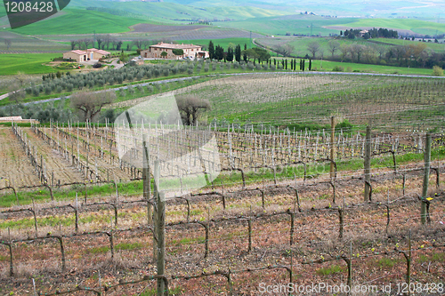 Image of Italy. Tuscany region, Val D'Orcia valley.