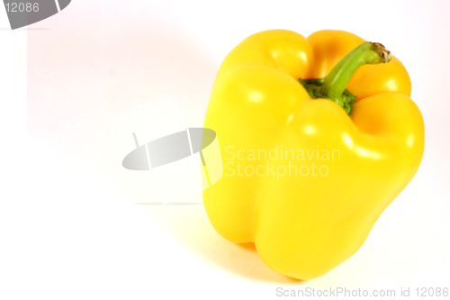 Image of Yellow Pepper Isolated