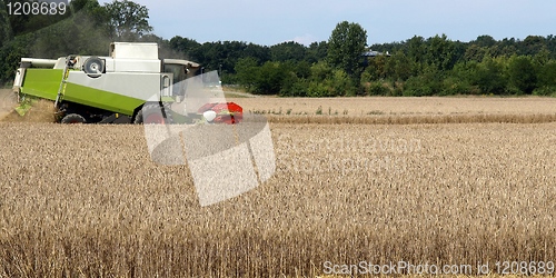 Image of Harvest