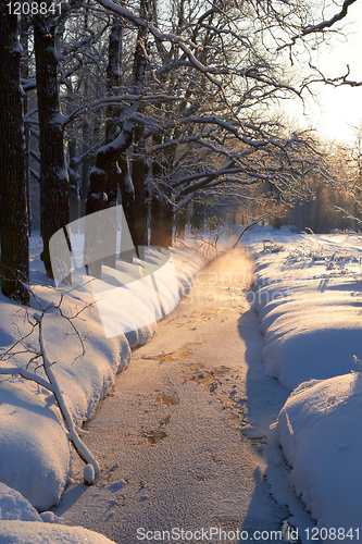 Image of freeze creek in the park