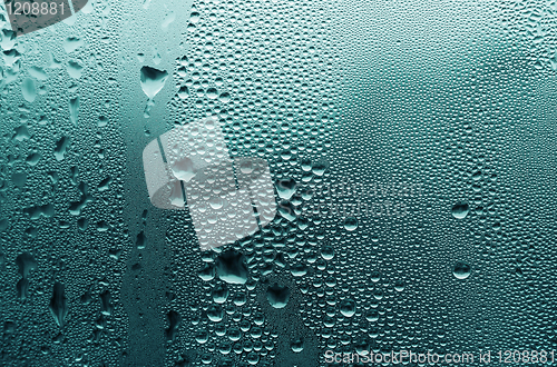 Image of natural water drop texture