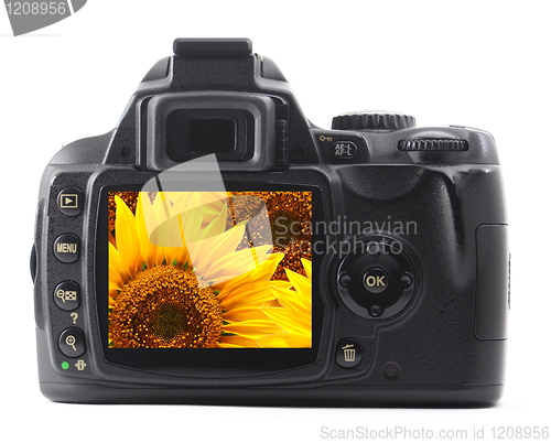 Image of holiday flower on camera