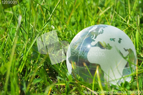 Image of glass globe or earth in grass