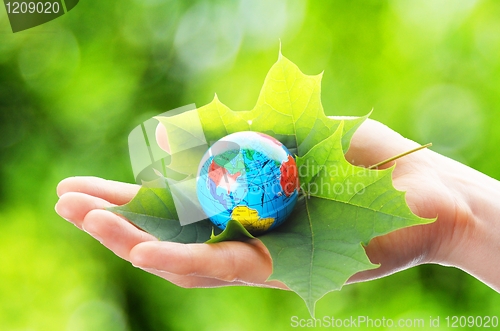Image of hand holding globe