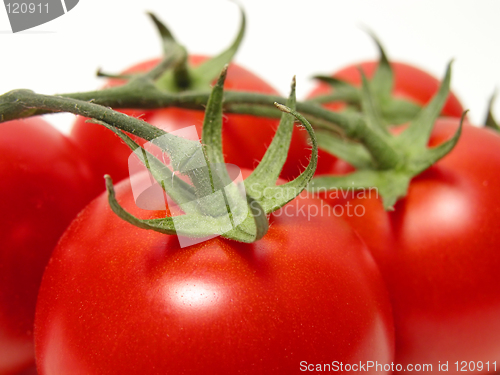 Image of Tomatoes temptation