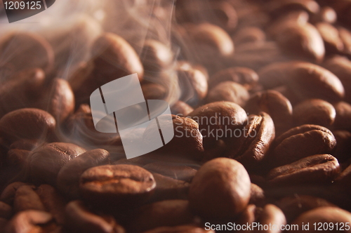 Image of coffee beans