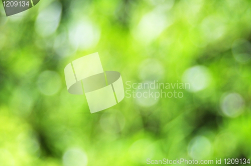 Image of green bokeh background
