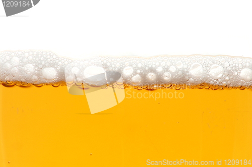 Image of glass of beer isolated on white background