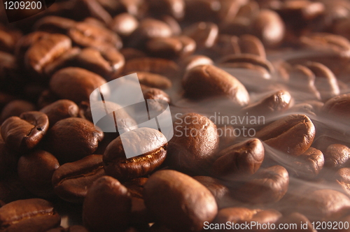 Image of coffee beans with steam