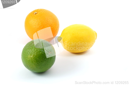 Image of lemon orange and citron fruit