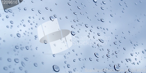 Image of Rain droplets