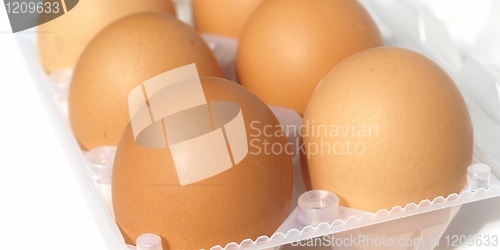 Image of Eggs