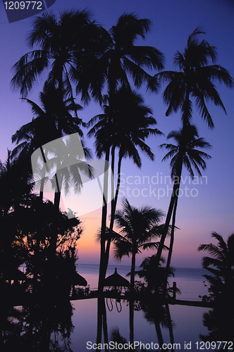 Image of Landscape on the beach