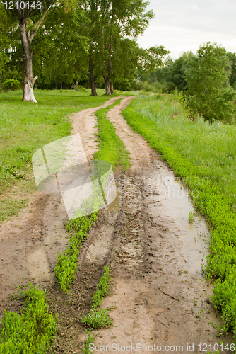 Image of puddle