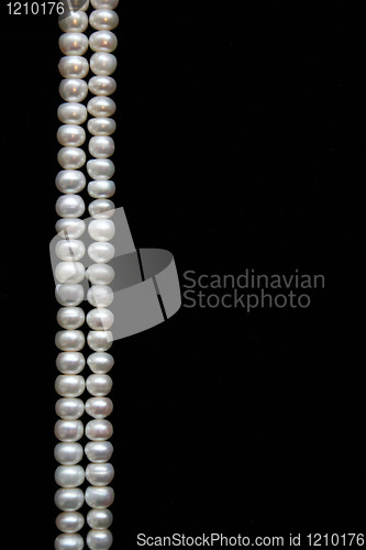 Image of White pearls on the black background