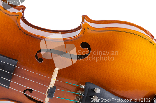 Image of Violin close up 