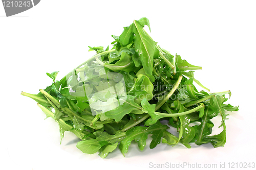 Image of Arugula