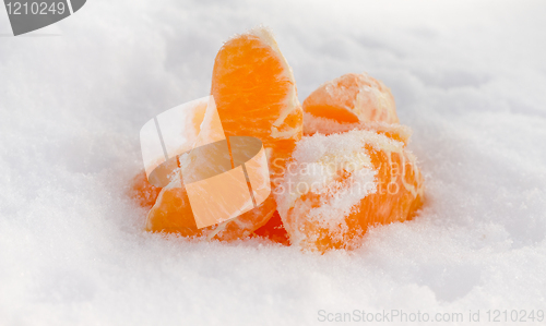 Image of cooled  tangerine 3