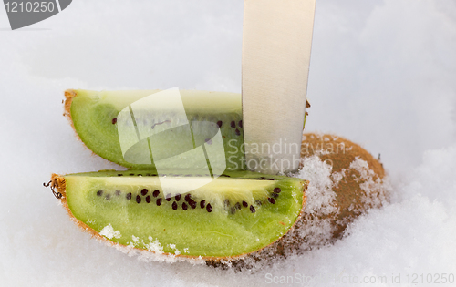 Image of cooled  kiwi  3