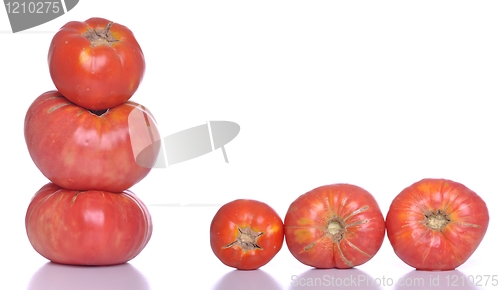 Image of Biological tomatoes